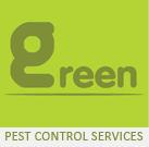 Pest Control Dubai