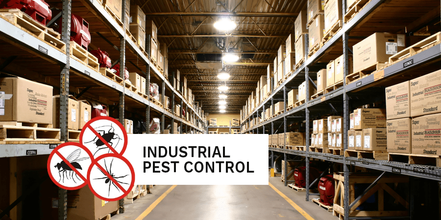 Pest Control in RAK